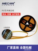 PU艺术美边线迎来第一个家装节