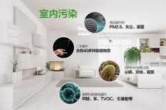 劣质美缝剂中有害物质壬基酚对人体的伤害程度