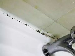 玻璃胶替代品上市啦 美边线就是这么给力