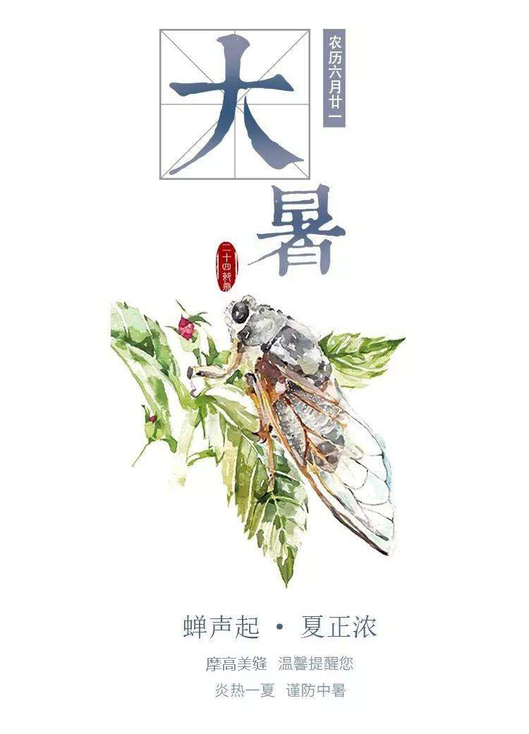 大暑注意防暑
