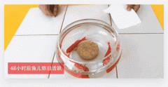 疫情期间 请选择良心产品杜绝劣质美缝剂 如何鉴别
